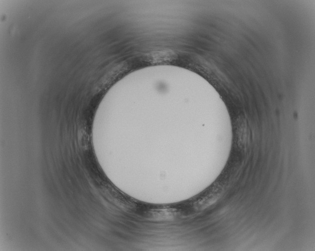 X0000073700316200608311736