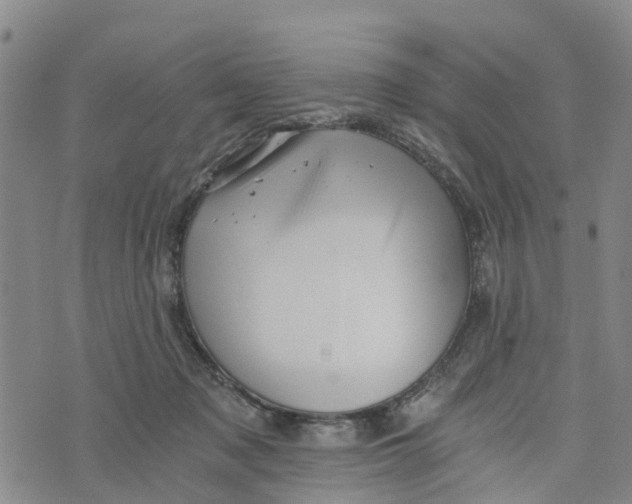 X0000073700317200608311736