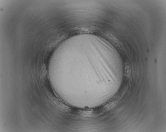 X0000073700318200608311736