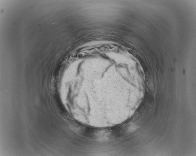 X0000073700319200608311736