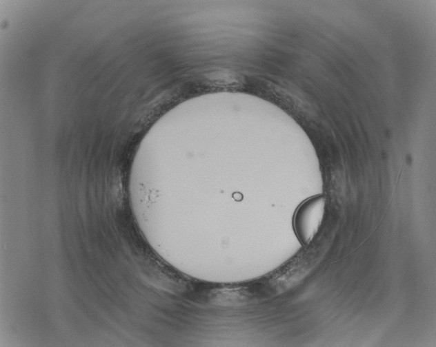 X0000073700320200608311736