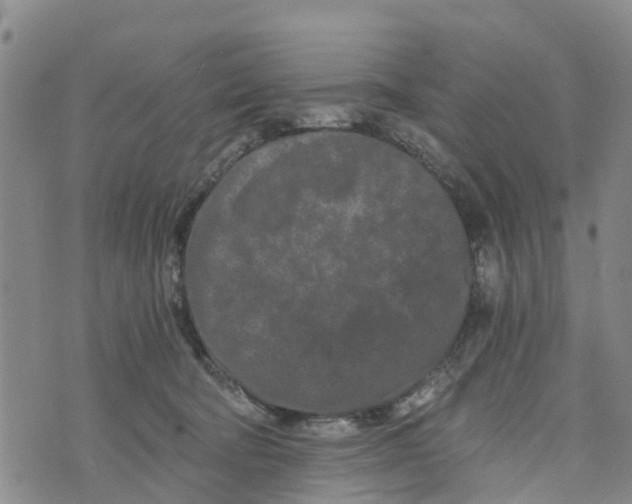 X0000073700322200608311736