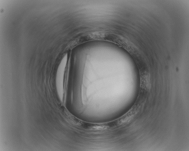 X0000073700323200608311736