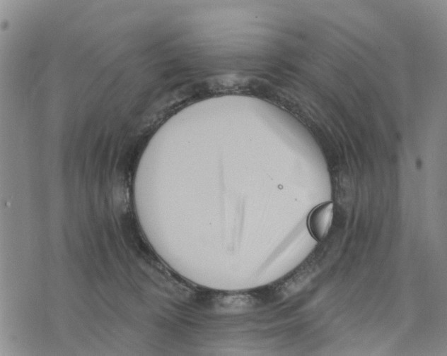 X0000073700324200608311736