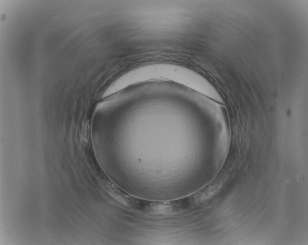 X0000073700325200608311736