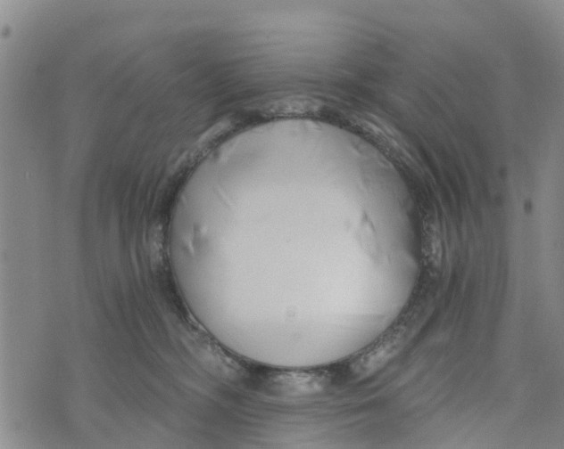 X0000073700326200608311736