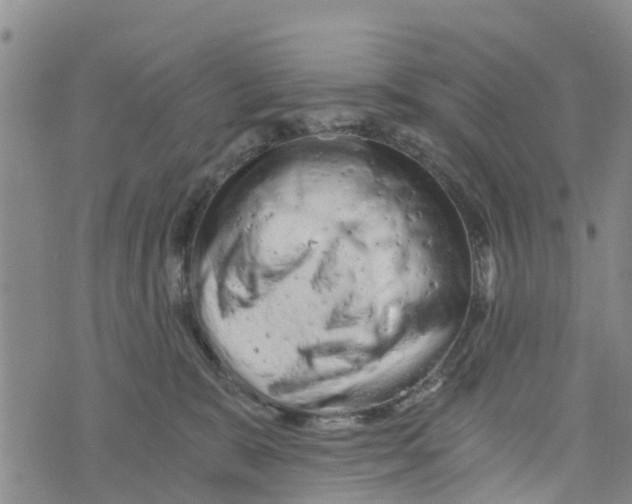 X0000073700327200608311736