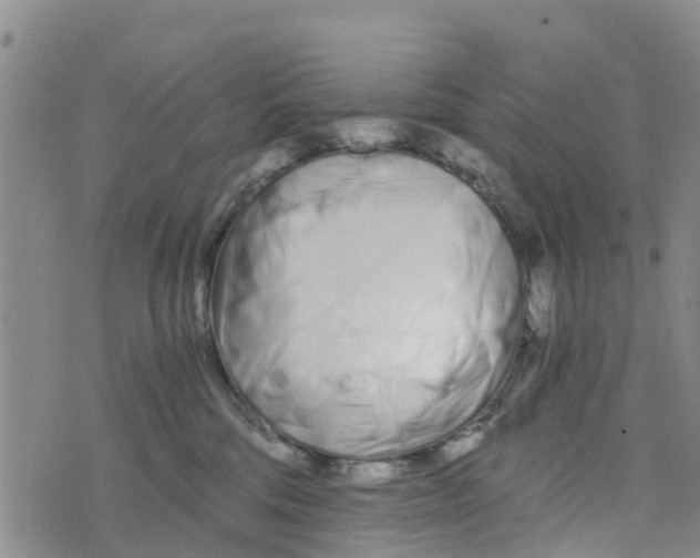 X0000073700330200608311736