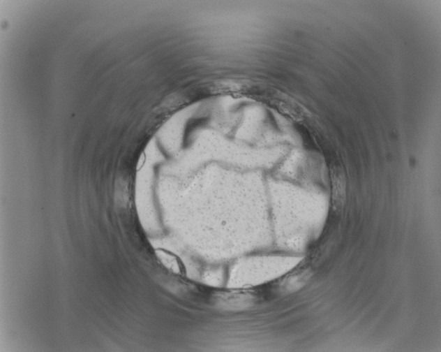 X0000073700331200608311736