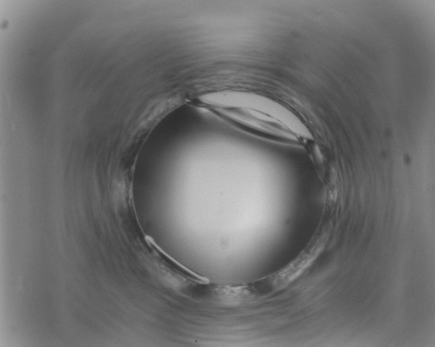 X0000073700333200608311736