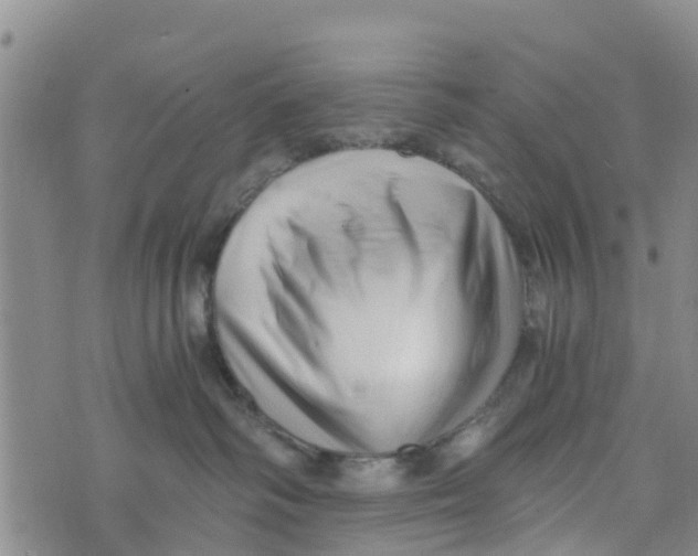 X0000073700334200608311736