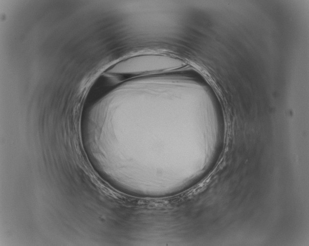 X0000073700337200608311735