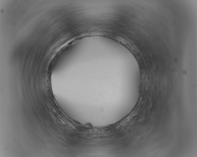 X0000073700338200608311735