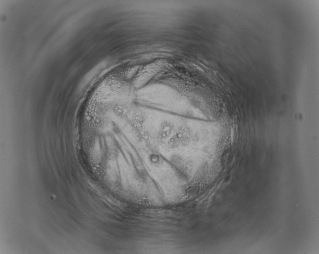 X0000073700339200608311735