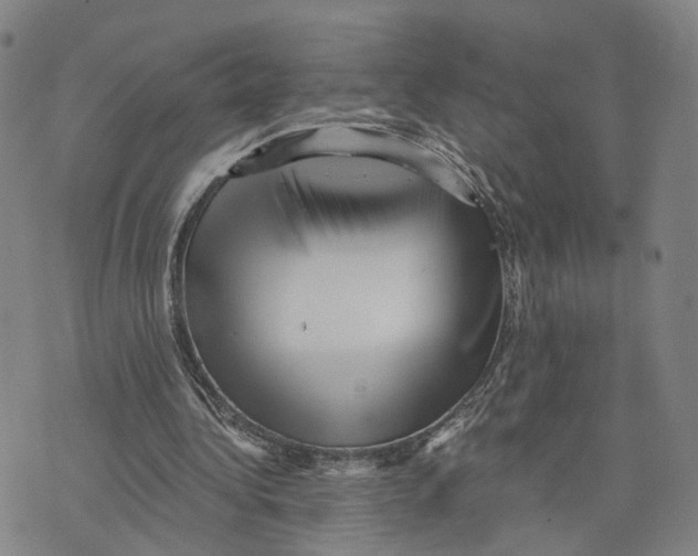 X0000073700340200608311735