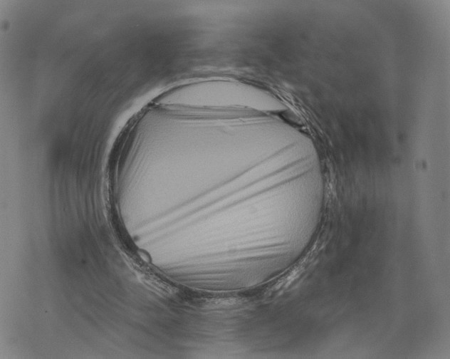 X0000073700342200608311735