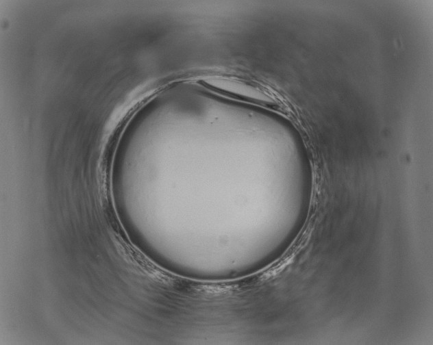 X0000073700343200608311735