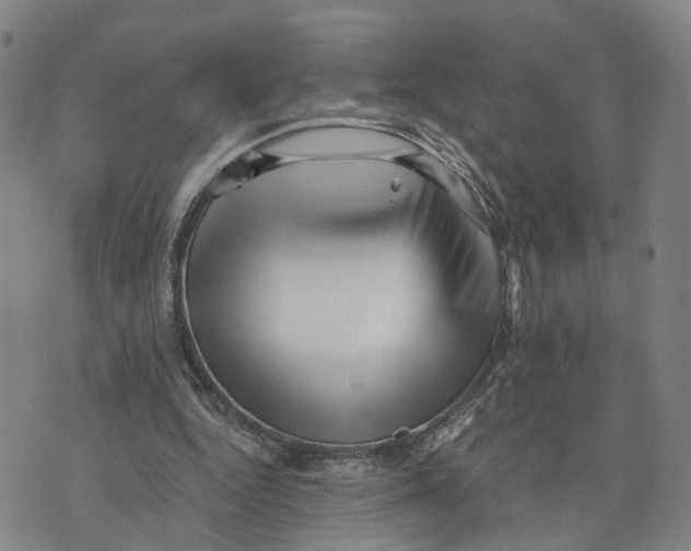 X0000073700344200608311735