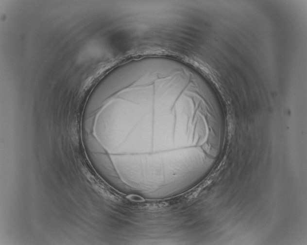 X0000073700345200608311735