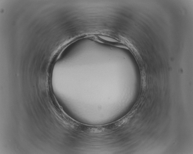 X0000073700346200608311735