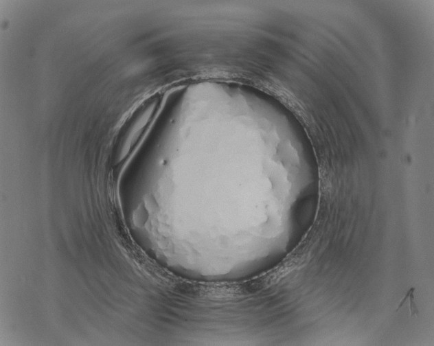 X0000073700347200608311735