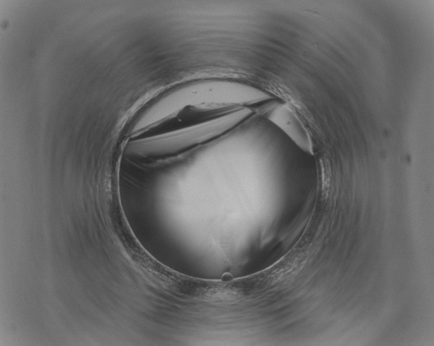 X0000073700348200608311735