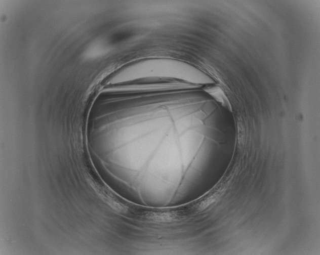 X0000073700349200608311735