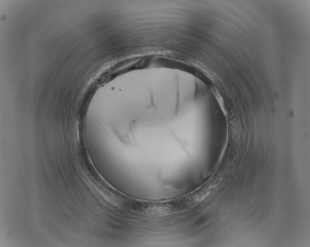 X0000073700350200608311735