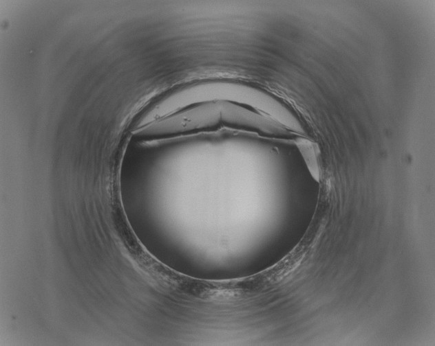 X0000073700352200608311735