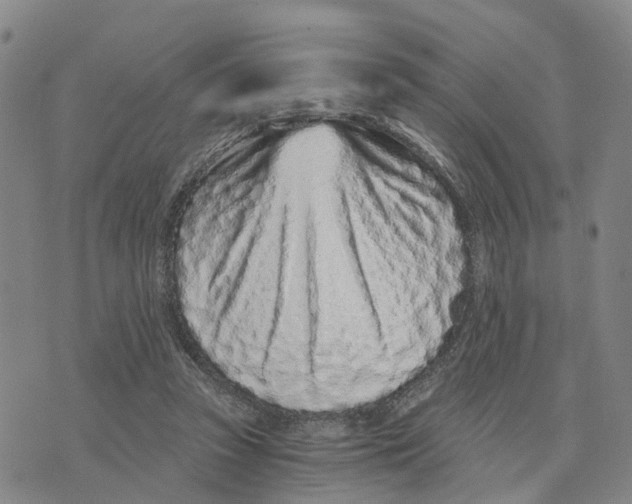 X0000073700353200608311735