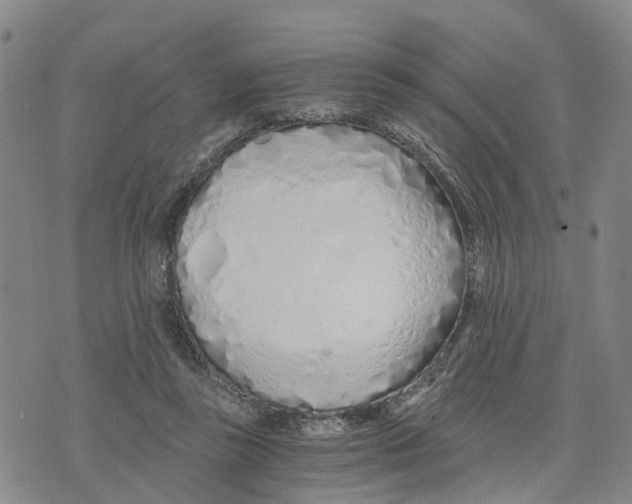 X0000073700355200608311735