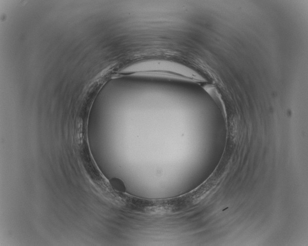 X0000073700356200608311735