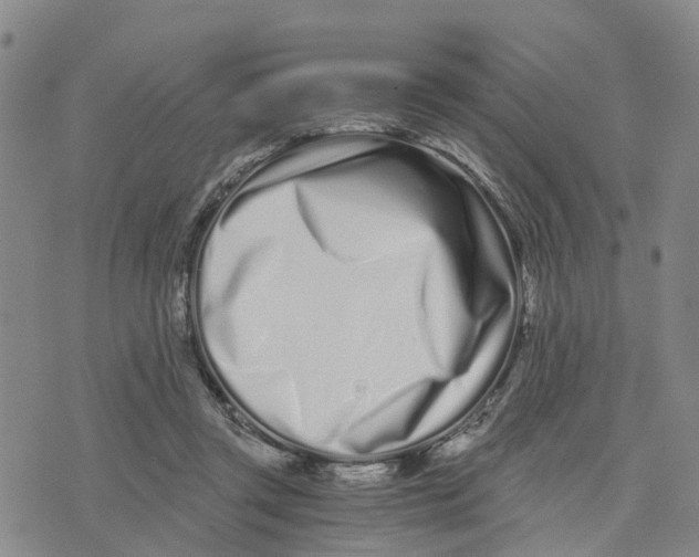 X0000073700357200608311735