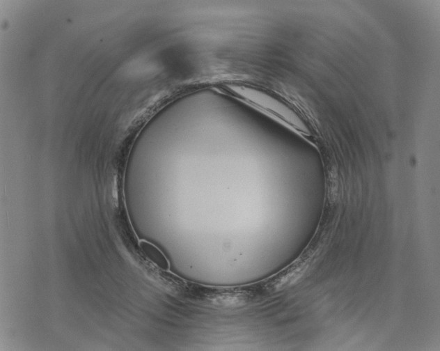 X0000073700358200608311735