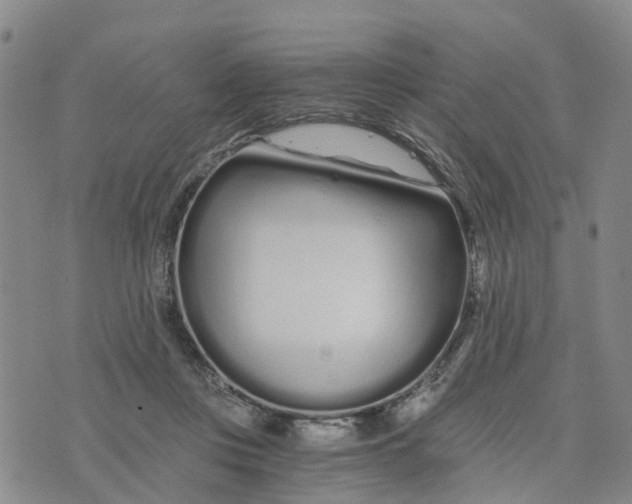 X0000073700359200608311735