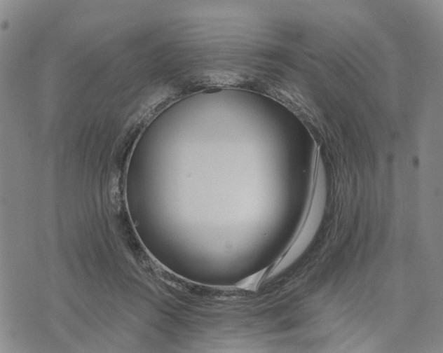 X0000073700360200608311735