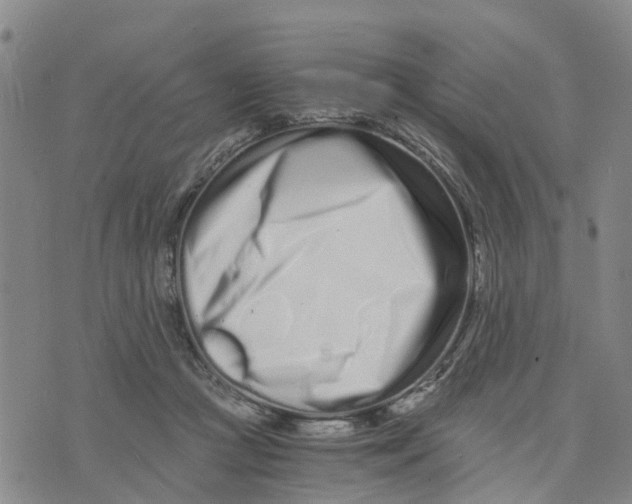 X0000073700361200608311735