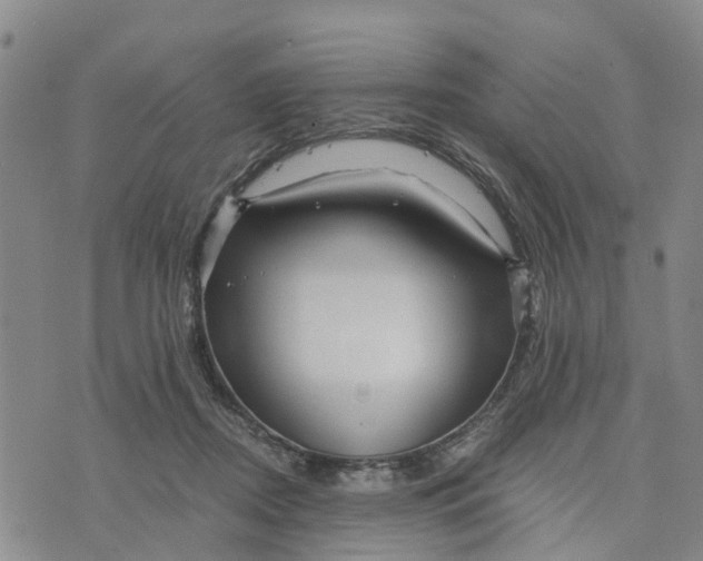 X0000073700362200608311735