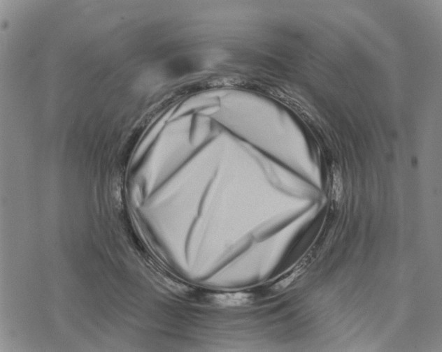 X0000073700363200608311735