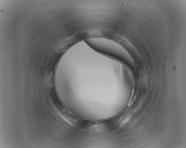 X0000073700364200608311735