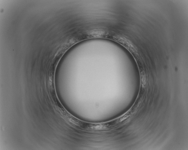 X0000073700365200608311735