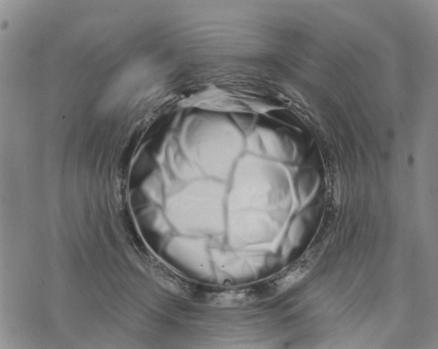 X0000073700366200608311735