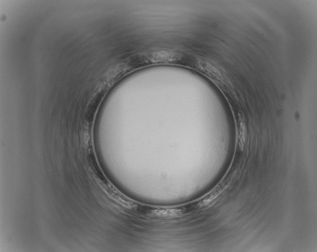 X0000073700367200608311735