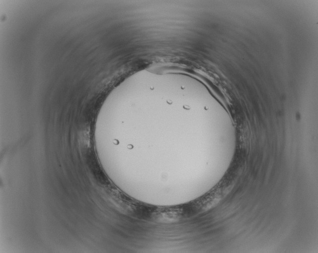 X0000073700368200608311735