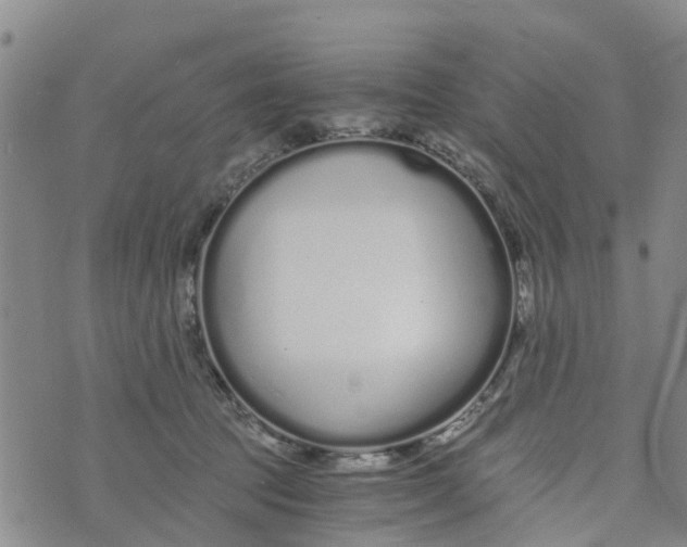 X0000073700369200608311735