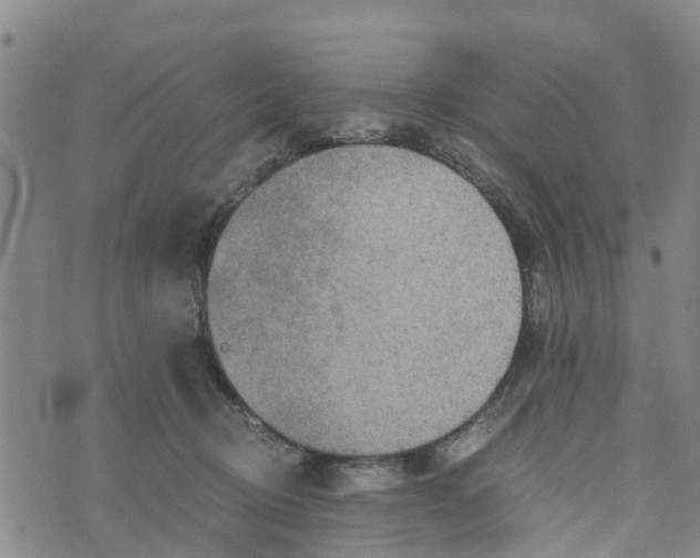 X0000073700370200608311736