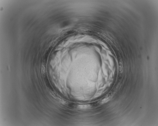 X0000073700371200608311736