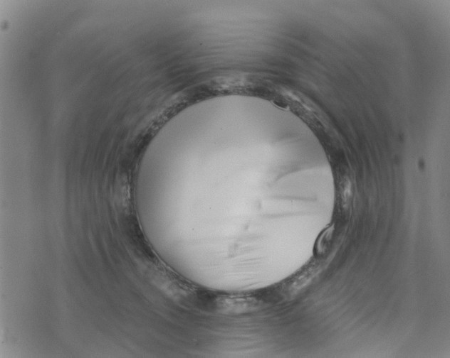 X0000073700372200608311736