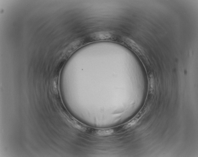 X0000073700373200608311736