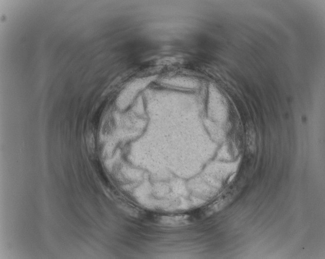 X0000073700375200608311736